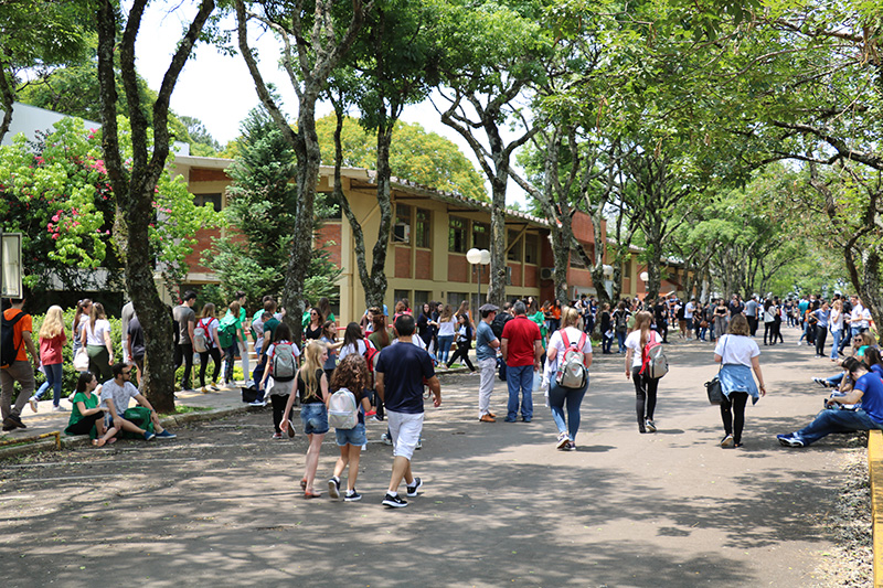 Vestibular De Inverno UPF 2020 Já Tem Data Marcada, 6/6 - UPF ...